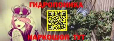 бошки Будённовск