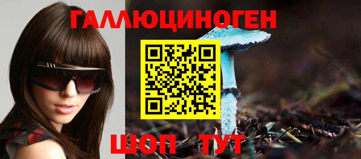 Галлюциногенные грибы Psilocybine cubensis  Вход с VPN  Псилоцибиновые грибы мицелий  Тара 
